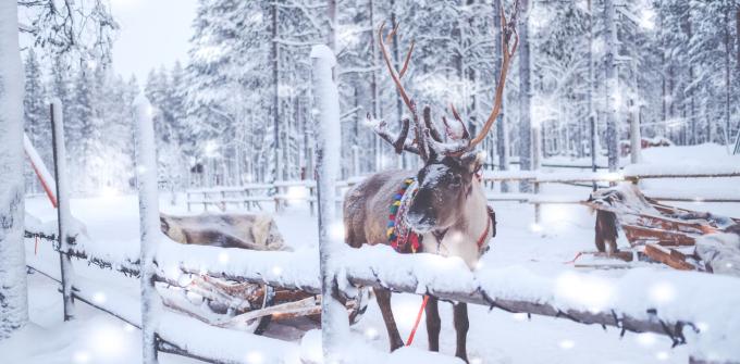 Lapland