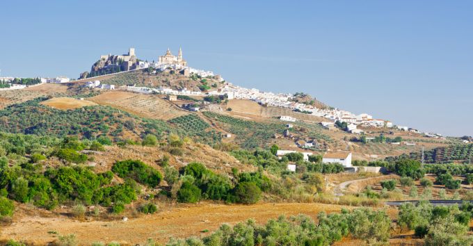 Rruga e Gjelbër Sierra